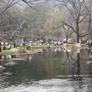 杭州旅游 缩略图 15