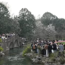 杭州旅游 缩略图 18