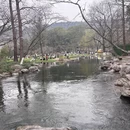 杭州旅游 缩略图 16