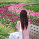 杭州旅游 缩略图 1