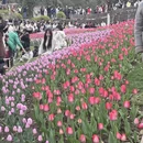 杭州旅游 缩略图 12