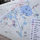杭州旅游 缩略图 13