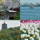 杭州旅游 缩略图 1