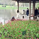 杭州旅游 缩略图 12