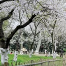 杭州旅游 缩略图 7