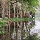 杭州旅游 缩略图 12