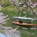 杭州旅游 缩略图 10