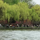 杭州旅游 缩略图 18