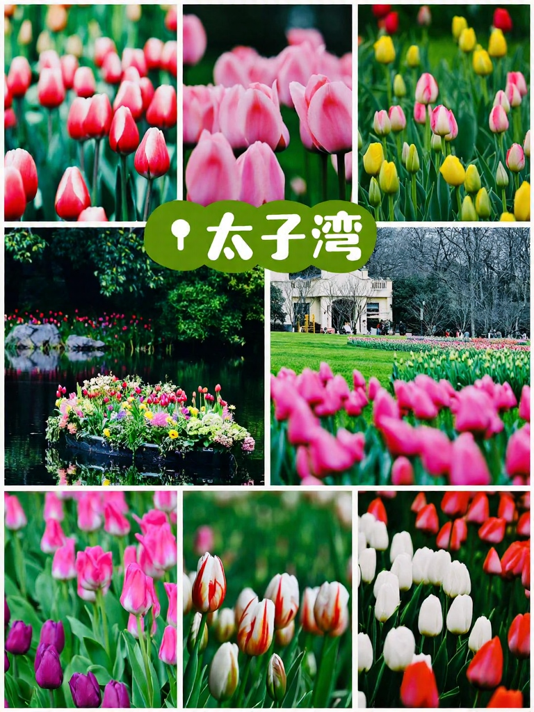 杭州旅游