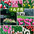 杭州旅游 缩略图 1