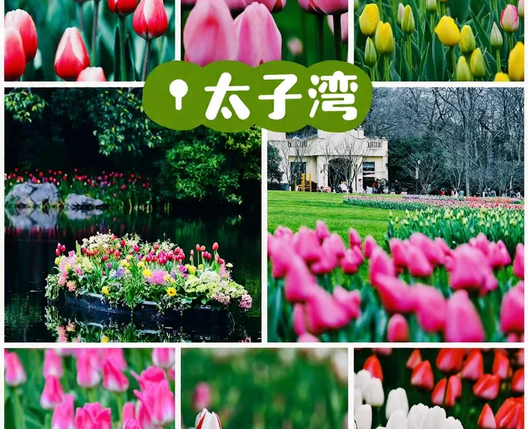 杭州旅游 1