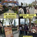 杭州旅游 缩略图 14
