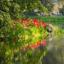 杭州旅游 缩略图 15