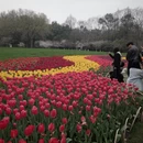 杭州旅游 缩略图 4