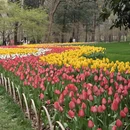 杭州旅游 缩略图 15