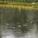 杭州旅游 缩略图 15