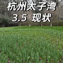 杭州旅游 缩略图 1