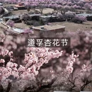 甘孜旅游 缩略图 2