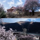 甘孜旅游 缩略图 5