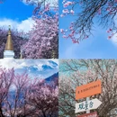 甘孜旅游 缩略图 3
