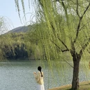 南京旅游 缩略图 5