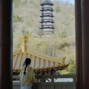 南京旅游 缩略图 6