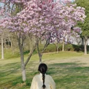 南京旅游 缩略图 4