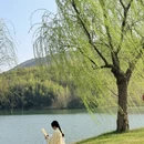 南京旅游 缩略图 1
