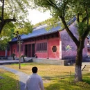 嘉兴旅游 缩略图 4