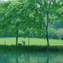 杭州旅游 缩略图 12