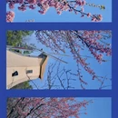 杭州旅游 缩略图 9