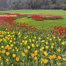 杭州旅游 缩略图 12