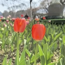 杭州旅游 缩略图 4
