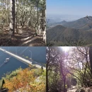无锡旅游 缩略图 13
