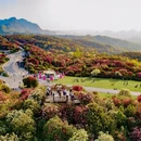 上海旅游 缩略图 6