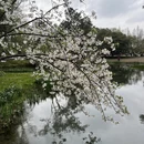 杭州旅游 缩略图 3