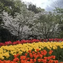 杭州旅游 缩略图 4