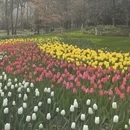 杭州旅游 缩略图 4