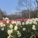 杭州旅游 缩略图 7