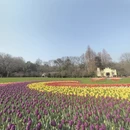 杭州旅游 缩略图 9