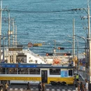 上海旅游 缩略图 7