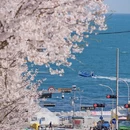 上海旅游 缩略图 9