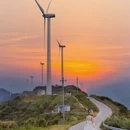 衢州旅游 缩略图 8