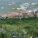 青岛旅游 缩略图 2