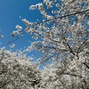 青岛旅游 缩略图 7