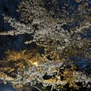 青岛旅游 缩略图 16