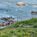 青岛旅游 缩略图 3