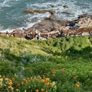 青岛旅游 缩略图 12