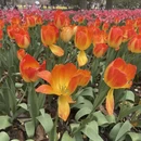 杭州旅游 缩略图 5