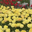 杭州旅游 缩略图 12